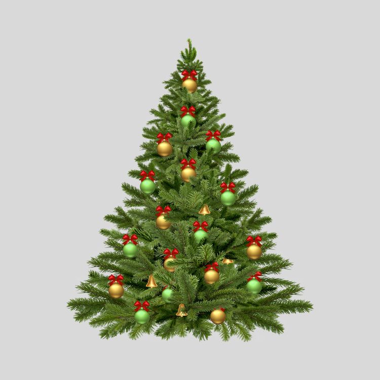 Ảnh cây thông noel